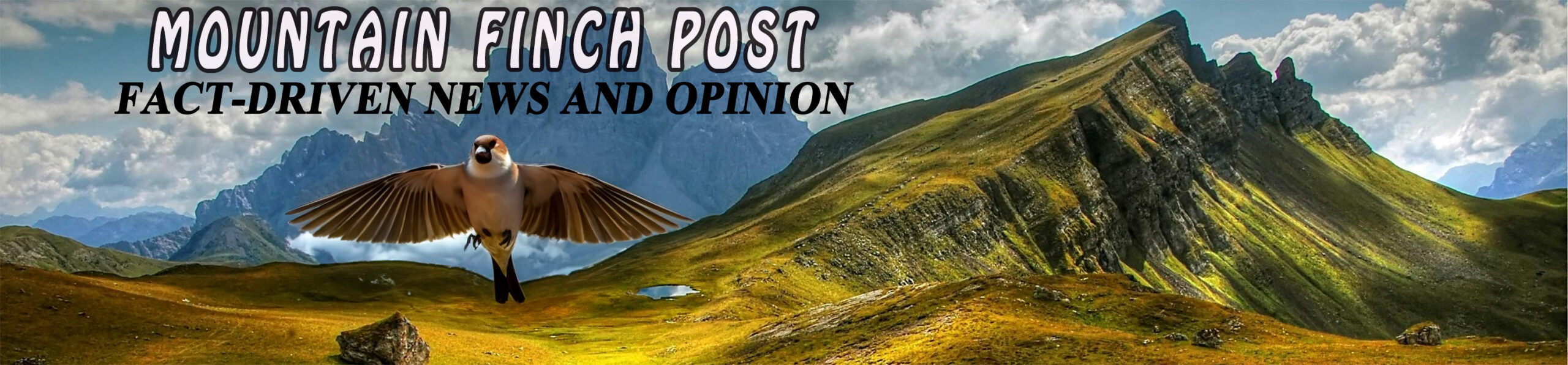 Mountain Finch Post