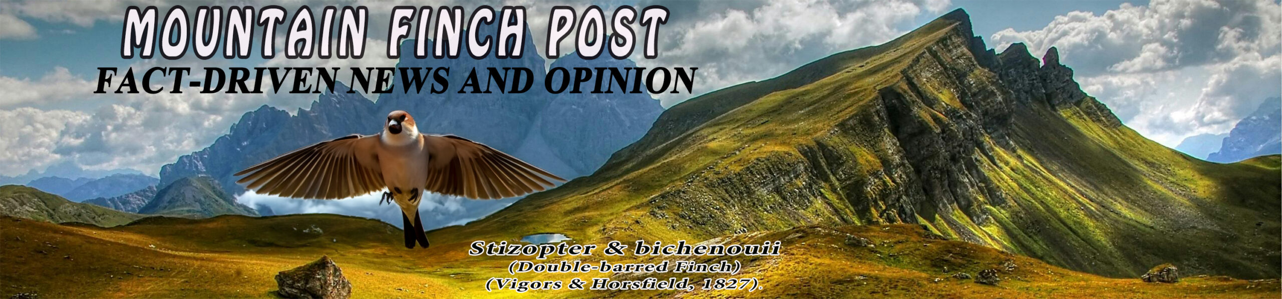 Mountain Finch Post